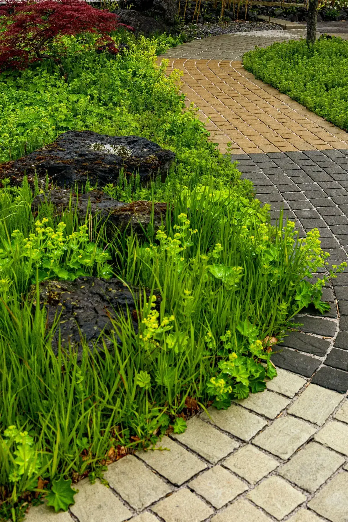 A tranquil garden pathway surrounded by vibrant greenery and rocks