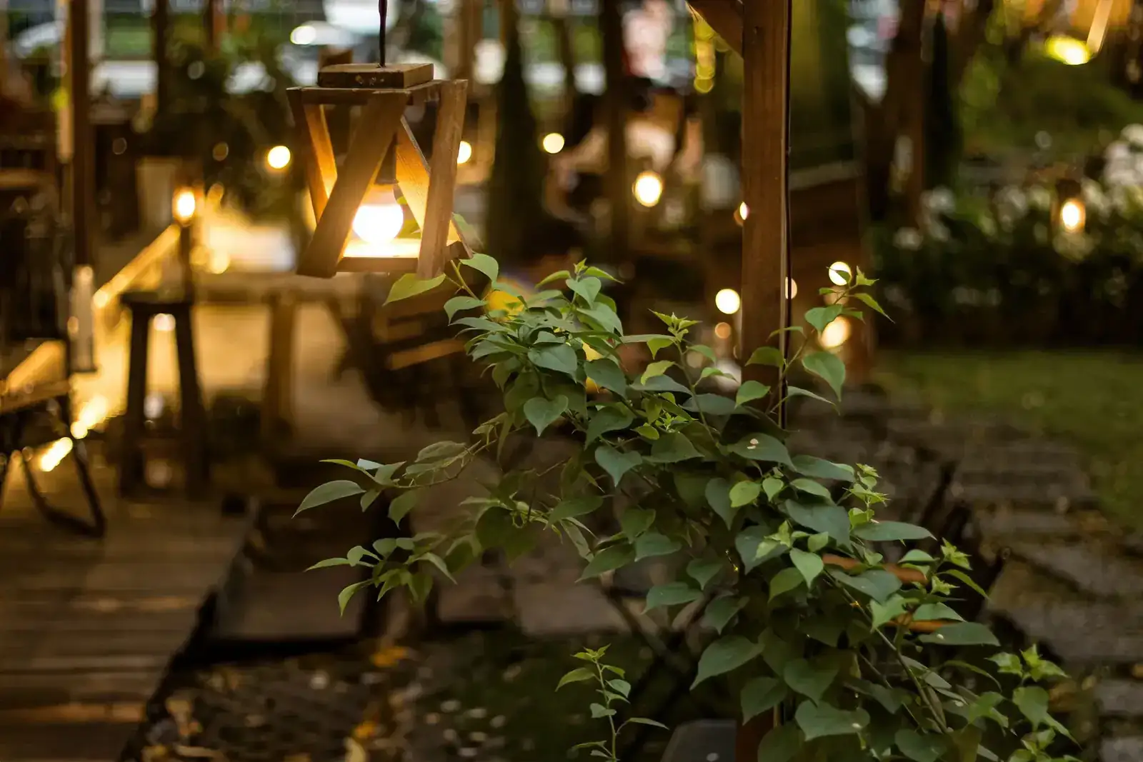 Warm path and garden lighting among dense green foliage at night