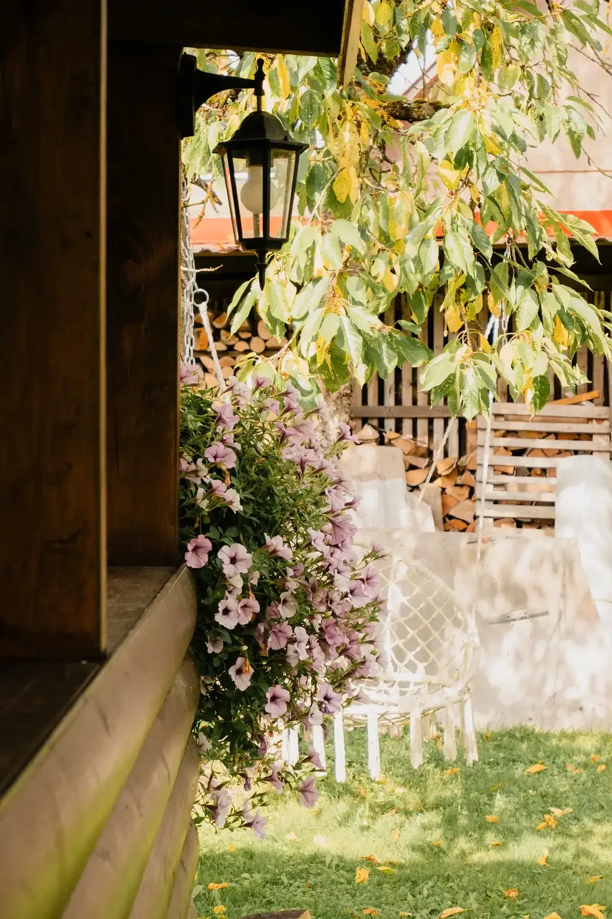Sunlit garden patio featuring purple petunias and lush greenery, perfect for relaxing outdoors