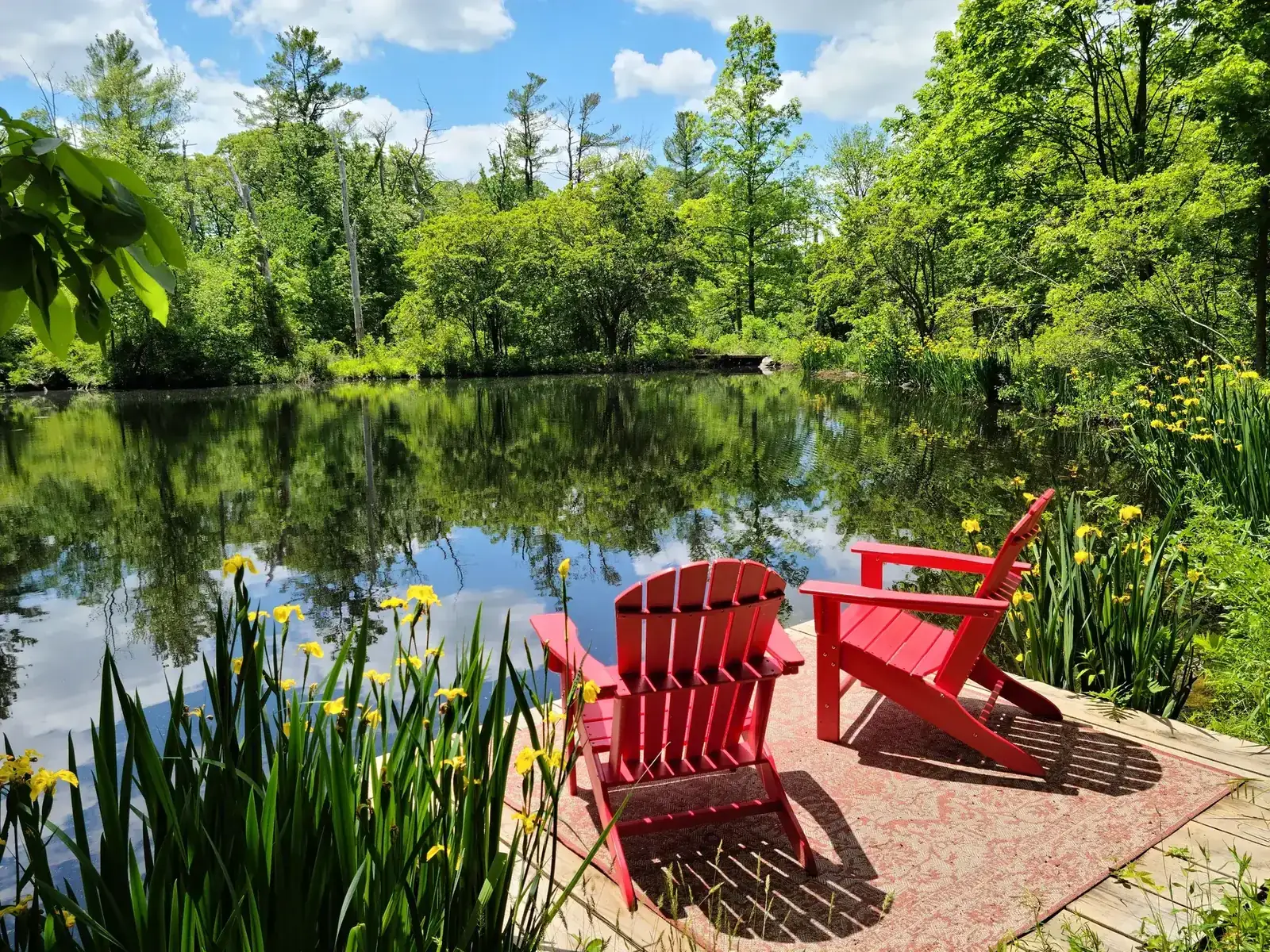 Bright red Adirondack chairs facing a peaceful forest lake add a pop of color to the serene scenery