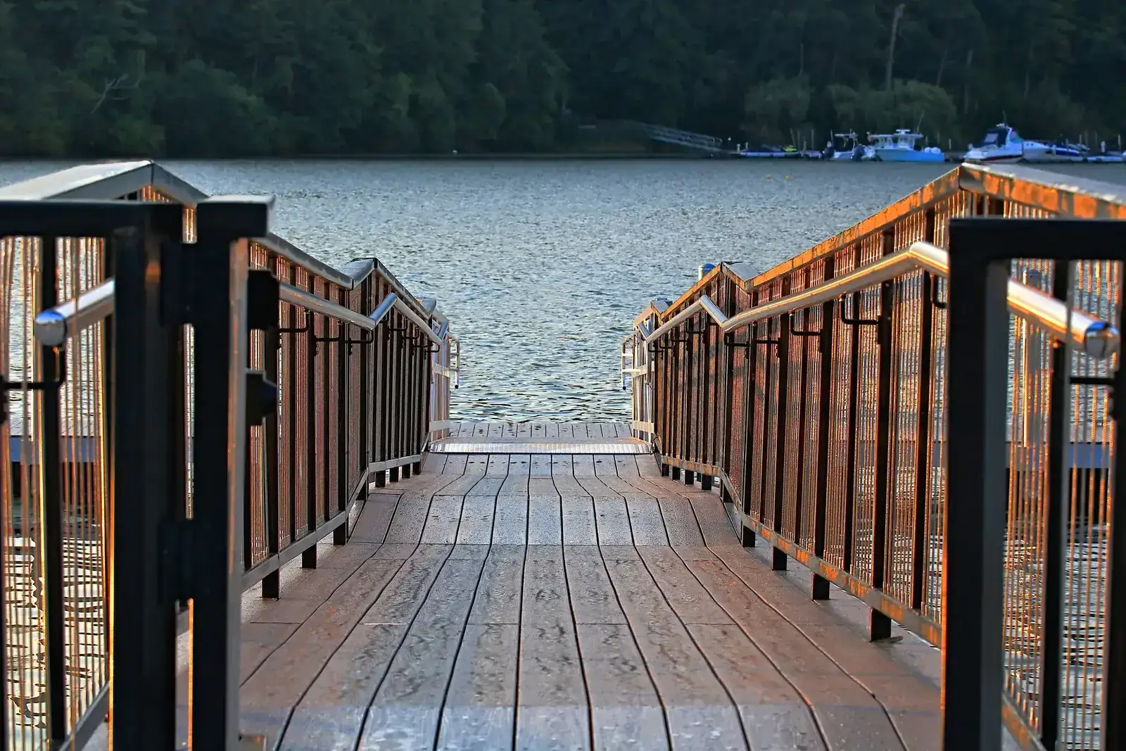 Morning light on a wooden dock overlooking a serene lake, perfect for tranquil water reflections