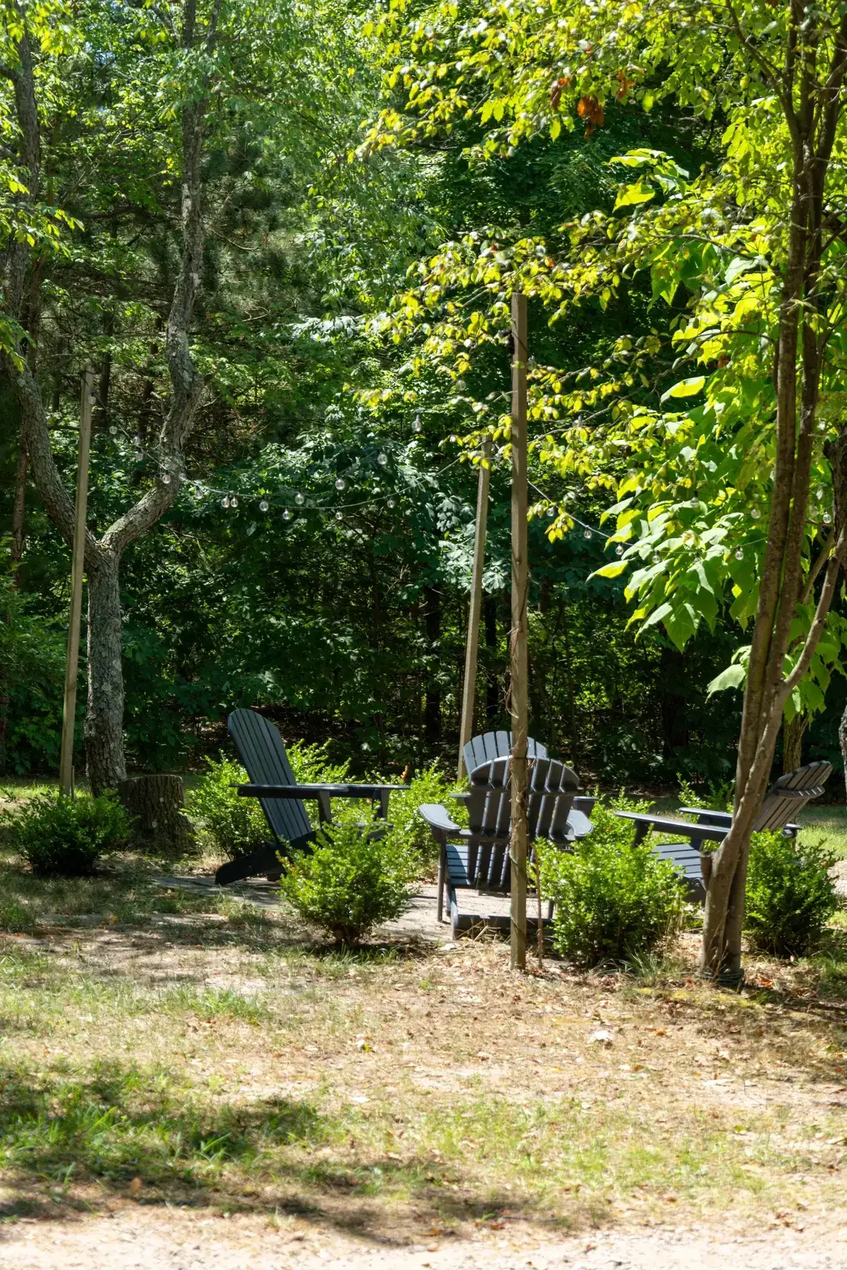 Relax in lounge chairs amidst a peaceful forest retreat during summer