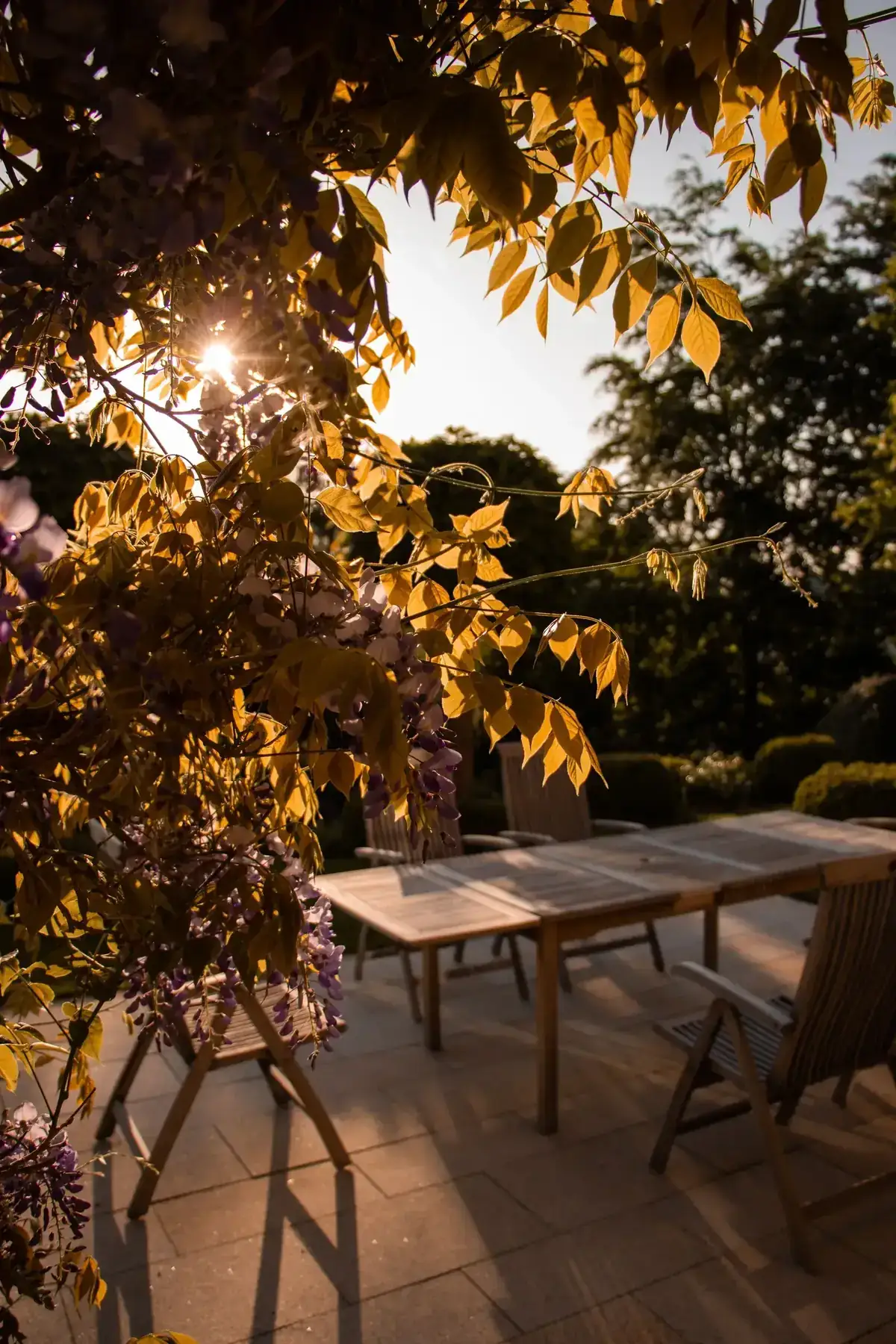 A tranquil patio scene with wooden furniture and golden sunlight filtering through leaves