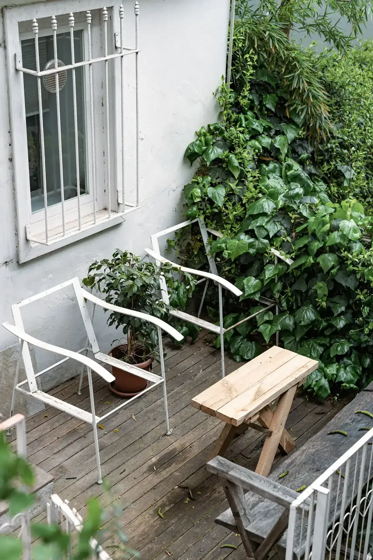 Serene outdoor patio scene with white chairs, wooden table, and lush greenery