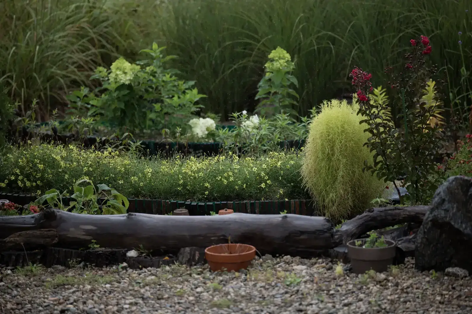 Serene garden landscape with various plants, flowers, and decorative logs