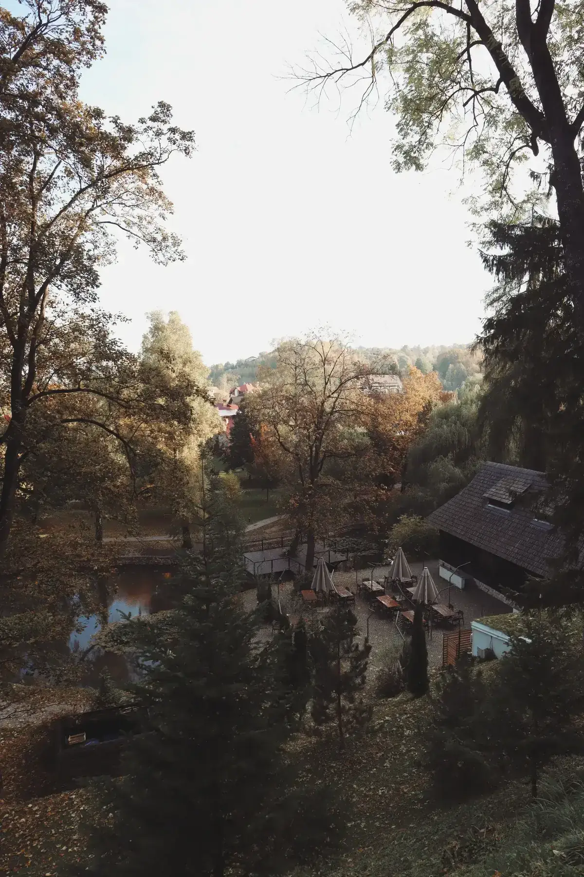 A scenic view of a forested area with a rustic patio amidst autumn foliage