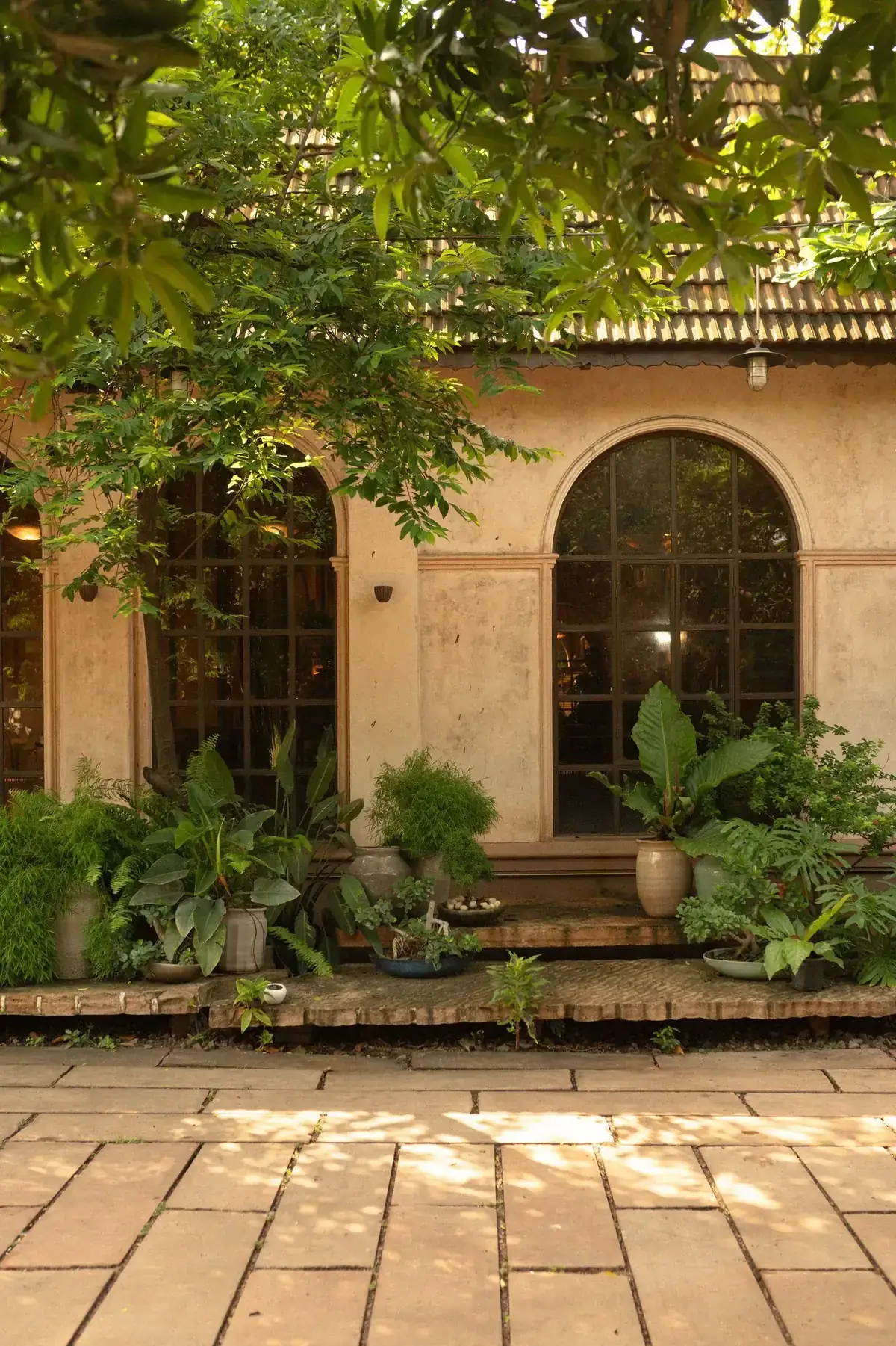 Serene garden patio adorned with vibrant plants, arched windows, and rustic charm
