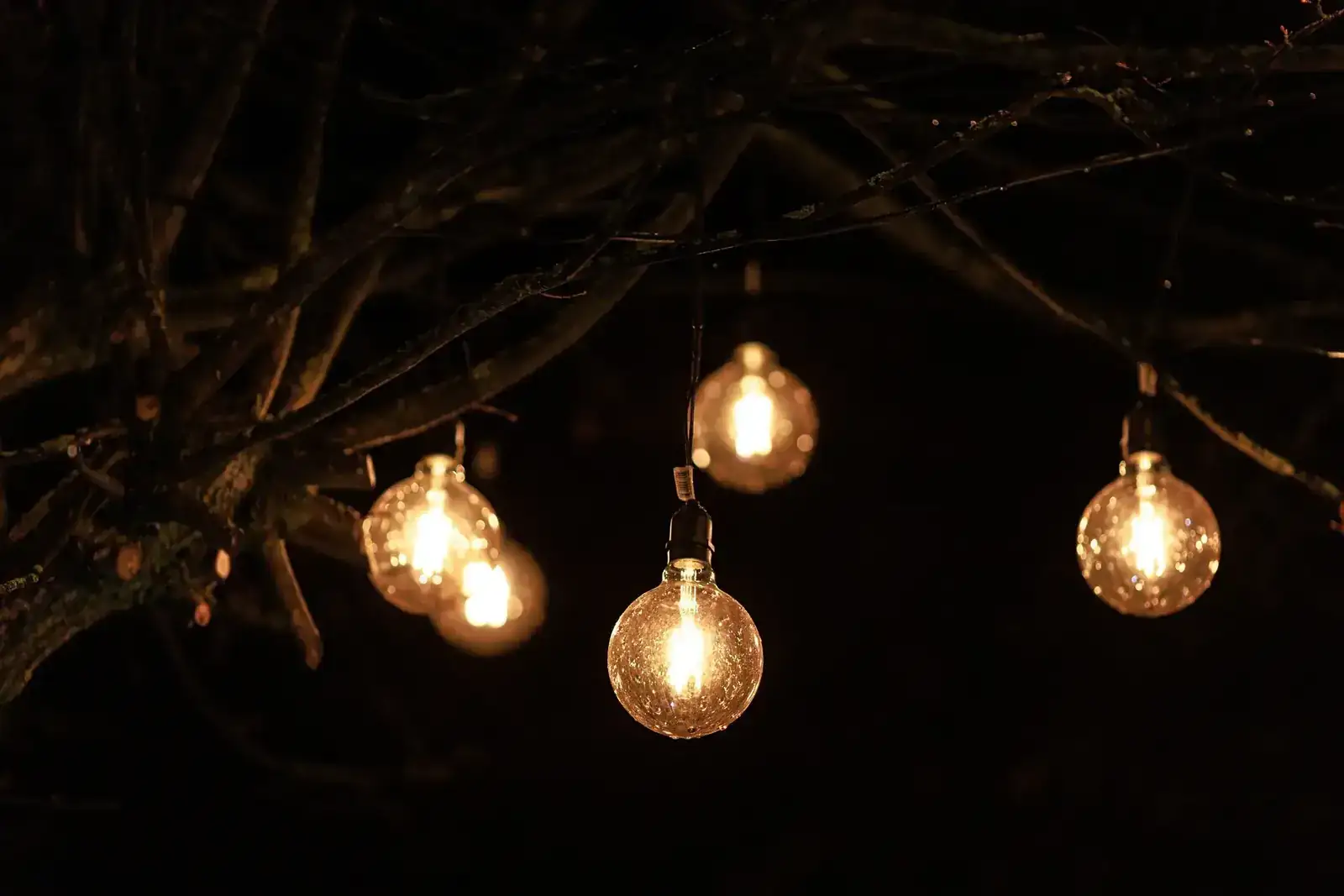 Glowing string lights hanging on a tree branch, enhancing nighttime atmosphere