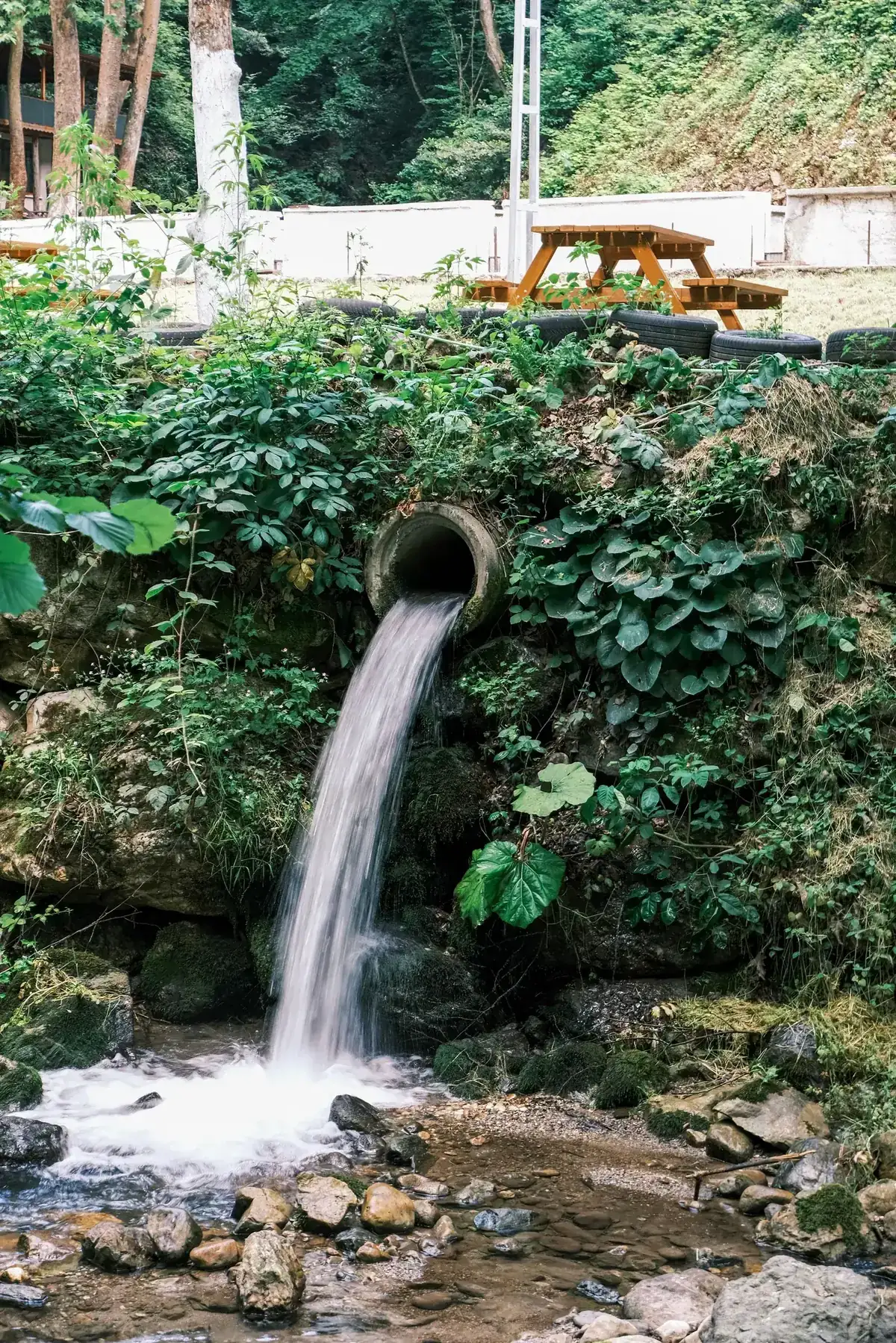Water flows from a pipe into a stream surrounded by lush greenery in a serene outdoor setting