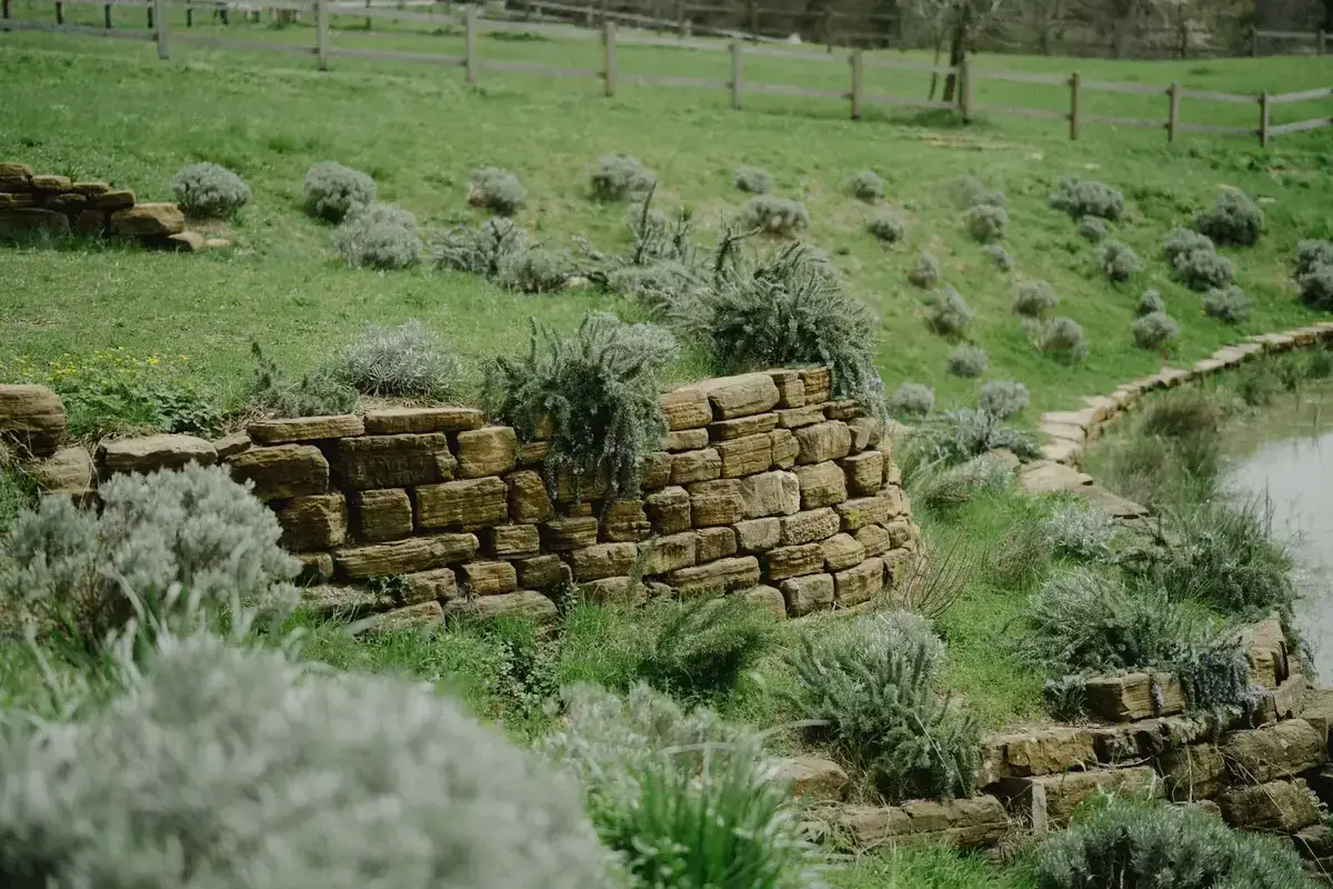 Serene landscape of a stone wall surrounded by greenery and lavender plants