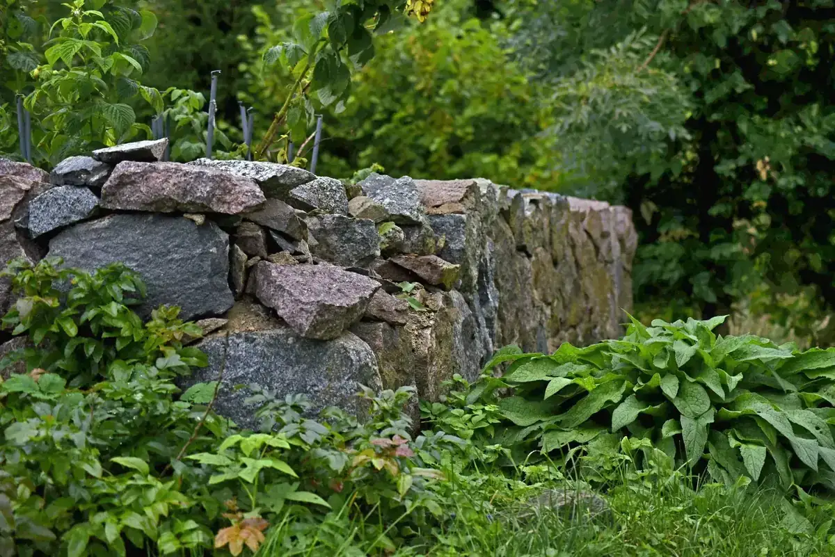 A picturesque stone wall surrounded by green foliage under natural light, perfect for nature-themed photography