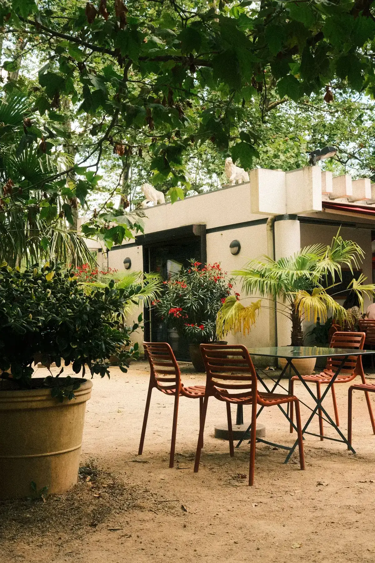Tranquil outdoor garden setting with chairs and a table under lush foliage on a sunny summer day