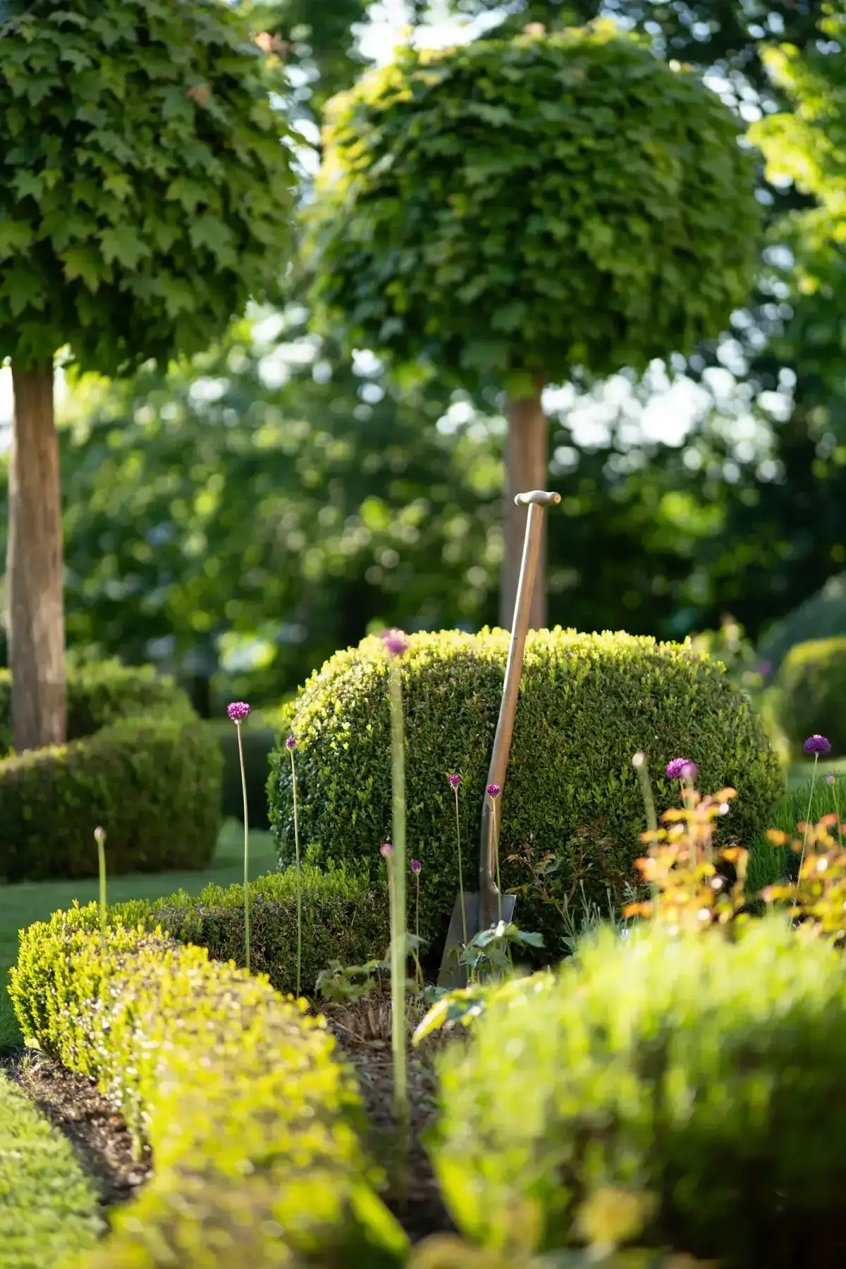 A serene, well-maintained garden with a shovel, showcasing topiary and blooming flowers