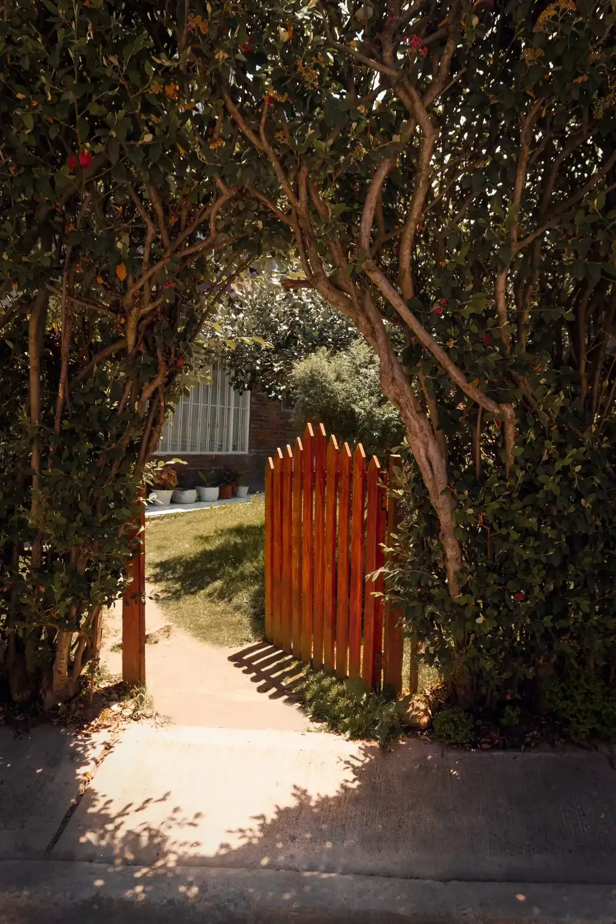 Sunlit wooden gate framed by lush archway in a serene garden setting